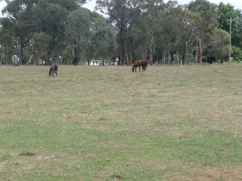 9 Coppabella Road, Rosewood NSW 2652