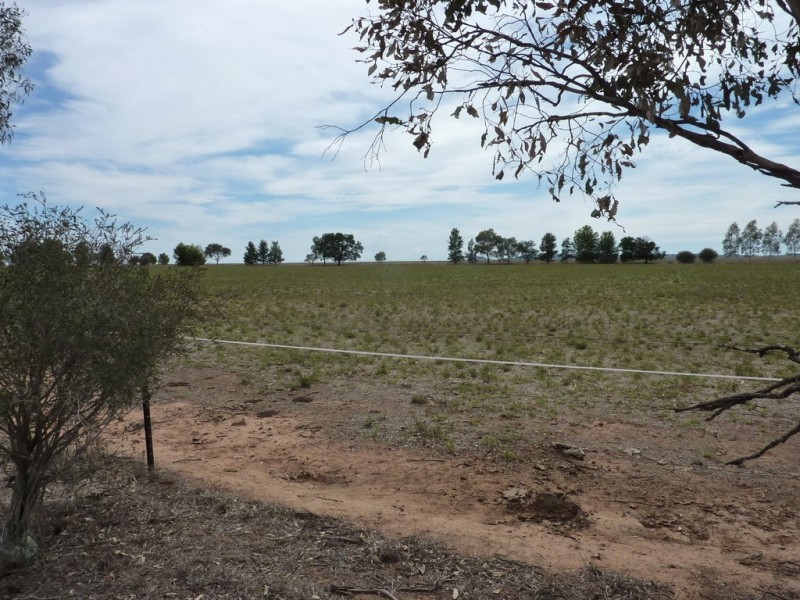 304 Hanging Road  via Uranquinty, Wagga Wagga NSW 2650