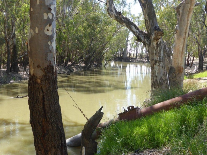 CHELSEA MORUNDAH, Narrandera NSW 2700