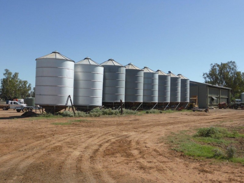 CHELSEA MORUNDAH, Narrandera NSW 2700