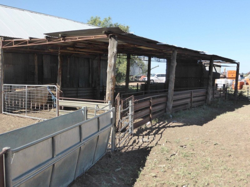 CHELSEA MORUNDAH, Narrandera NSW 2700