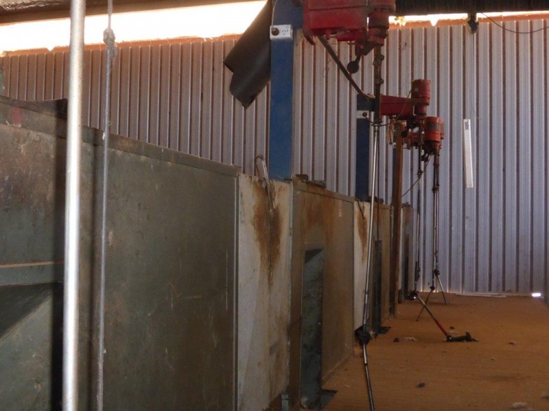 CHELSEA MORUNDAH, Narrandera NSW 2700