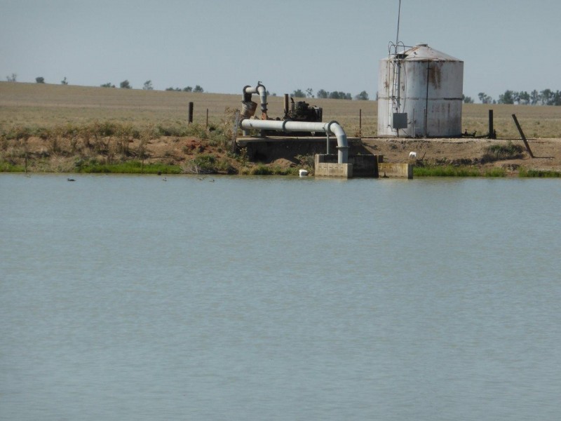 CHELSEA MORUNDAH, Narrandera NSW 2700