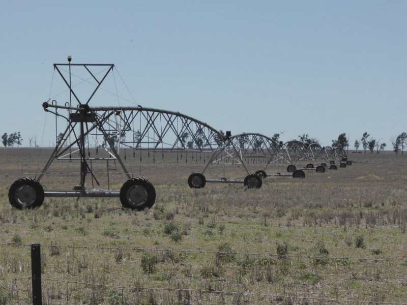 CHELSEA MORUNDAH, Narrandera NSW 2700