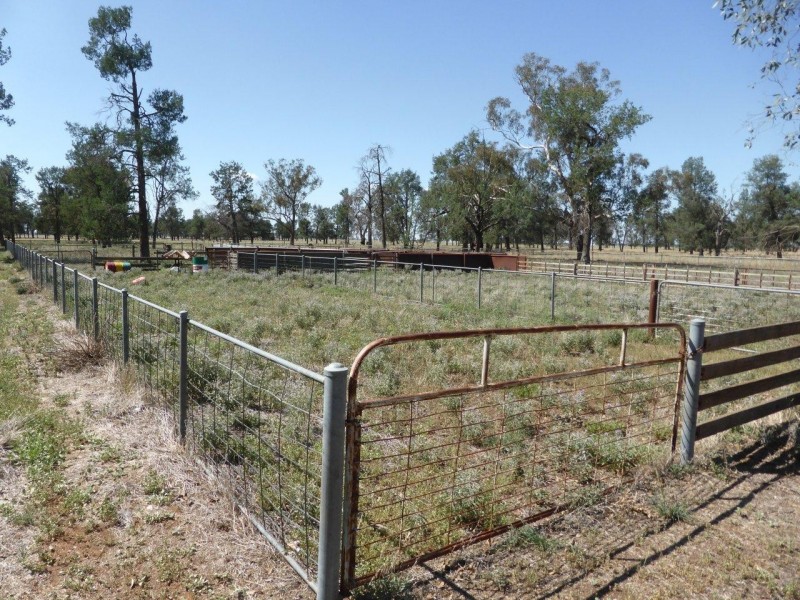 CHELSEA MORUNDAH, Narrandera NSW 2700