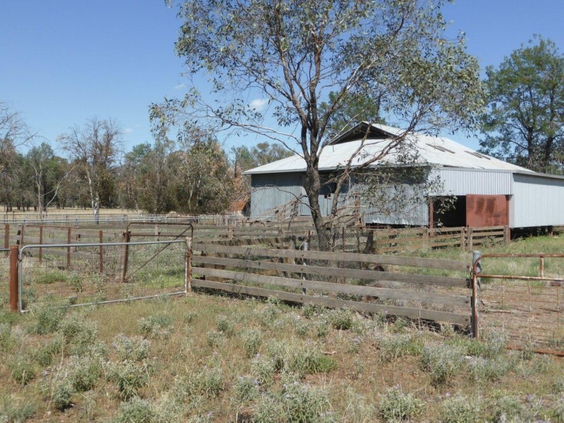 CHELSEA MORUNDAH, Narrandera NSW 2700
