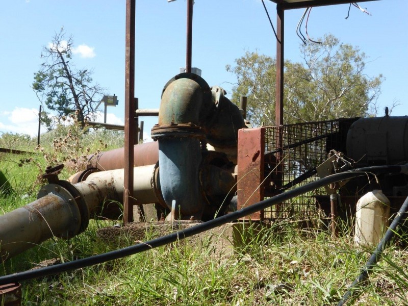 CHELSEA MORUNDAH, Narrandera NSW 2700