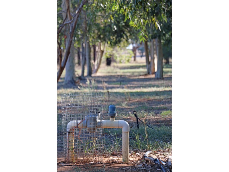 “Maroondah” Spring Drive, Corowa NSW 2646