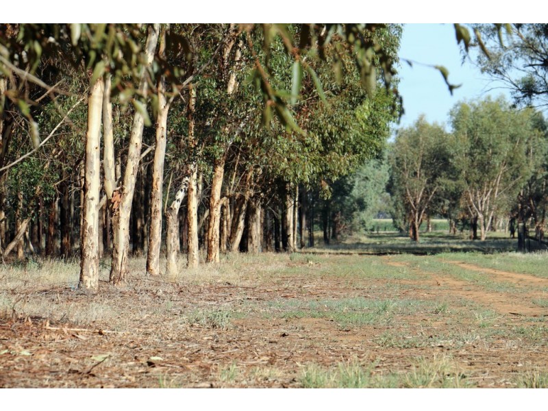 “Maroondah” Spring Drive, Corowa NSW 2646