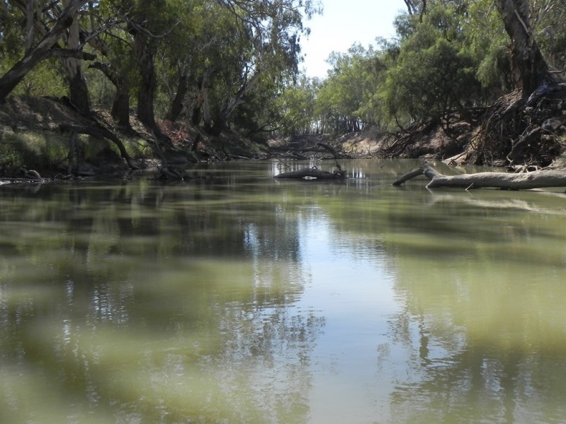 - Glenroy -, Lake Cargelligo NSW 2672