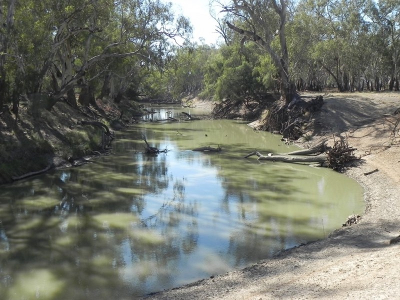 - Glenroy -, Lake Cargelligo NSW 2672
