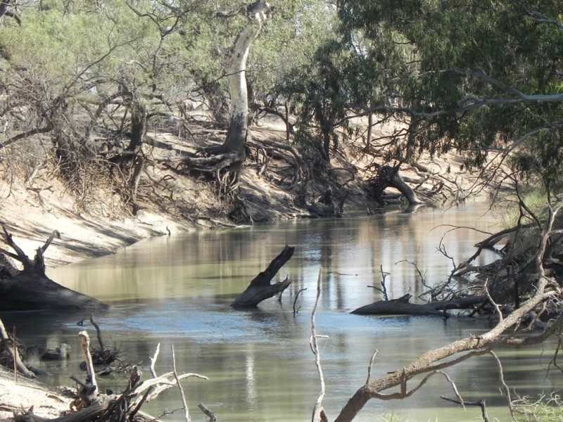 - Glenroy -, Lake Cargelligo NSW 2672