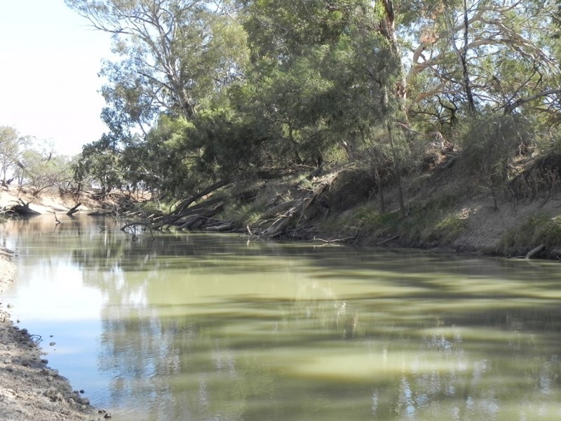 - Glenroy -, Lake Cargelligo NSW 2672