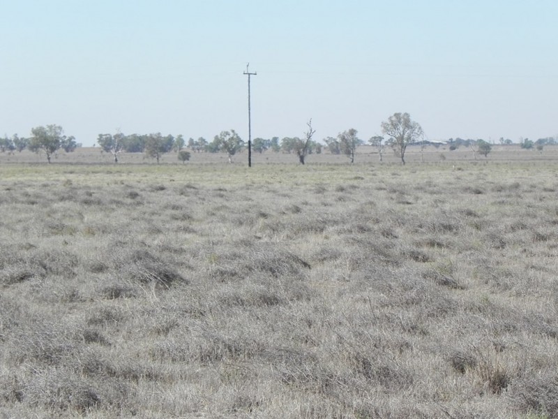 - Glenroy -, Lake Cargelligo NSW 2672