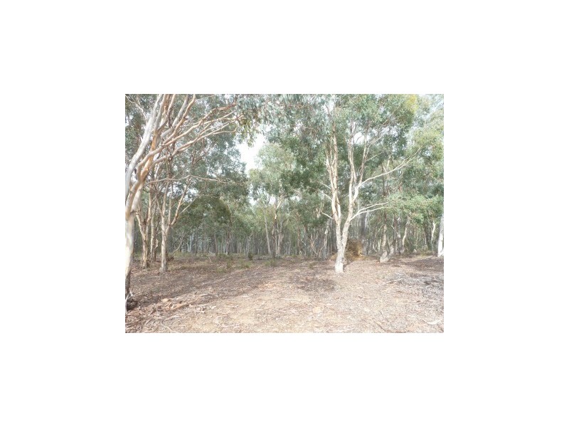 Lot 95 Blakney Creek Road, Dalton NSW 2581