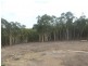 Lot 95 Blakney Creek Road, Dalton NSW 2581