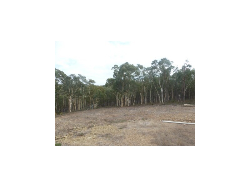 Lot 95 Blakney Creek Road, Dalton NSW 2581