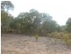 Lot 95 Blakney Creek Road, Dalton NSW 2581