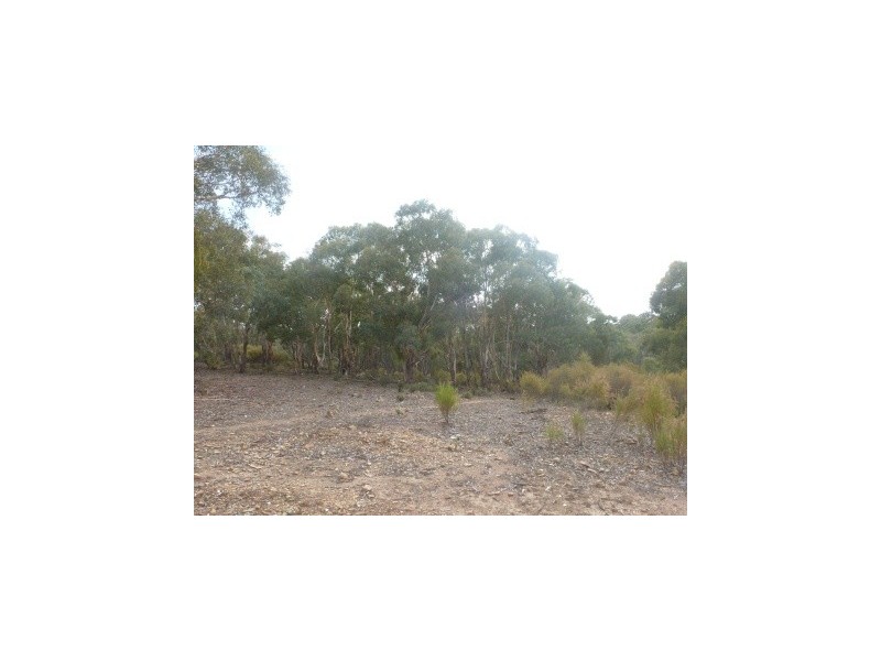 Lot 95 Blakney Creek Road, Dalton NSW 2581
