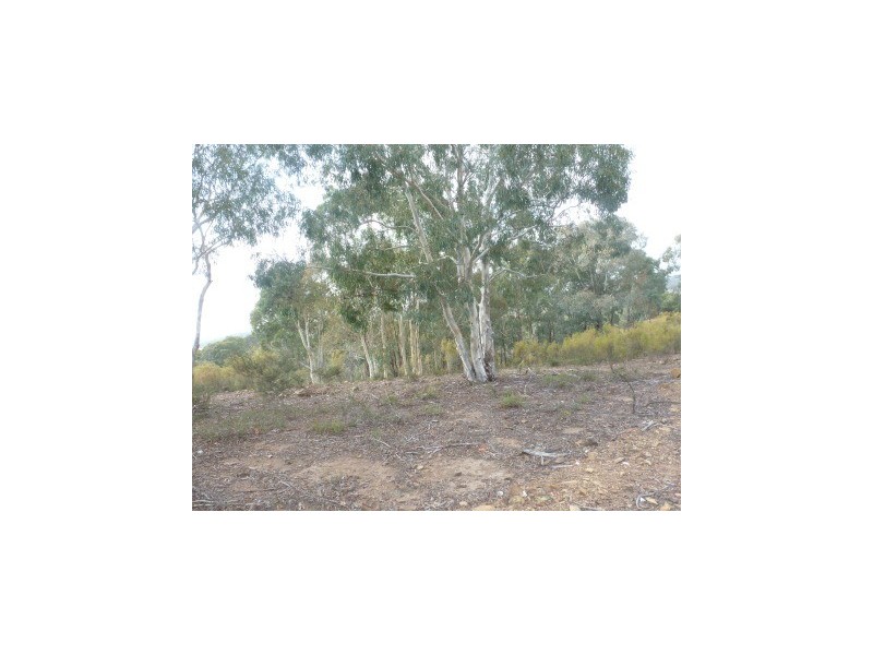 Lot 95 Blakney Creek Road, Dalton NSW 2581