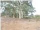 Lot 95 Blakney Creek Road, Dalton NSW 2581