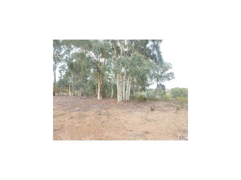 Lot 95 Blakney Creek Road, Dalton NSW 2581