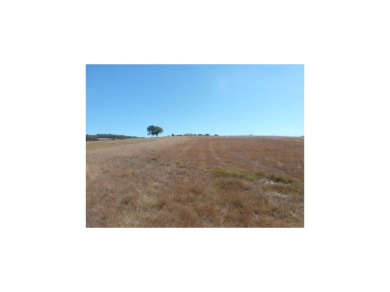 Lot 1 Young Street, Dalton NSW 2581