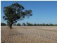 300 Hatwells Crossing Road, Wagga Wagga NSW 2650