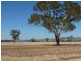 300 Hatwells Crossing Road, Wagga Wagga NSW 2650