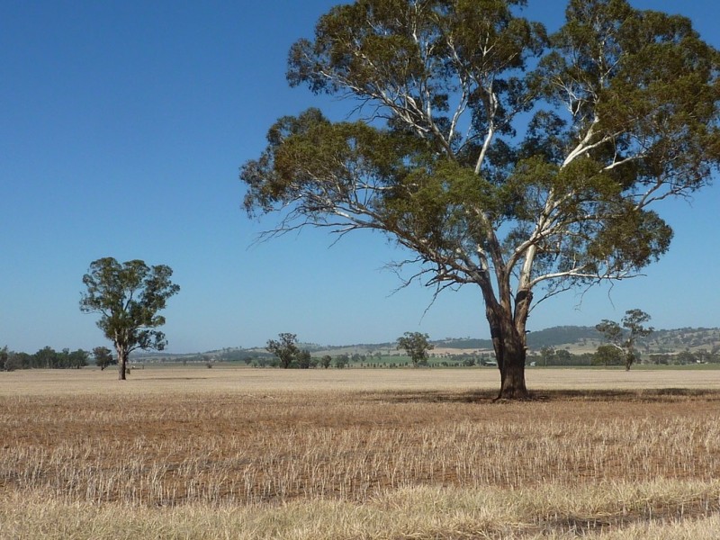 300 Hatwells Crossing Road, Wagga Wagga NSW 2650