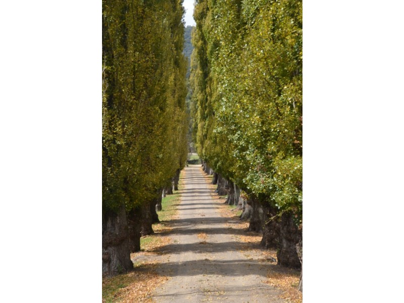 924 Morses Creek Road, Wandiligong VIC 3744