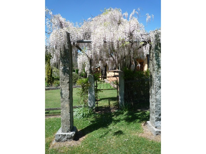 924 Morses Creek Road, Wandiligong VIC 3744