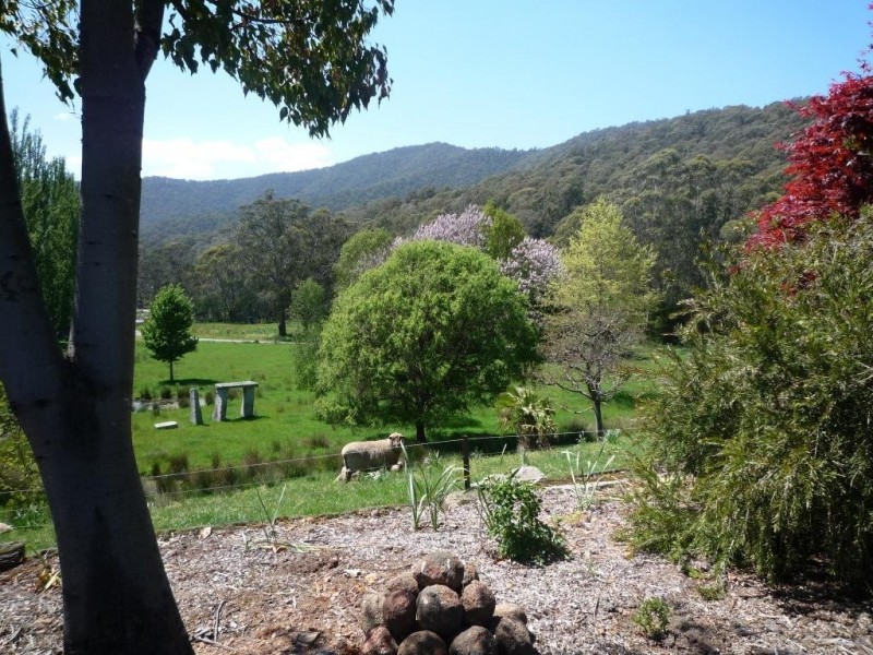 924 Morses Creek Road, Wandiligong VIC 3744