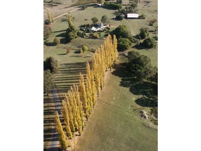 924 Morses Creek Road, Wandiligong VIC 3744