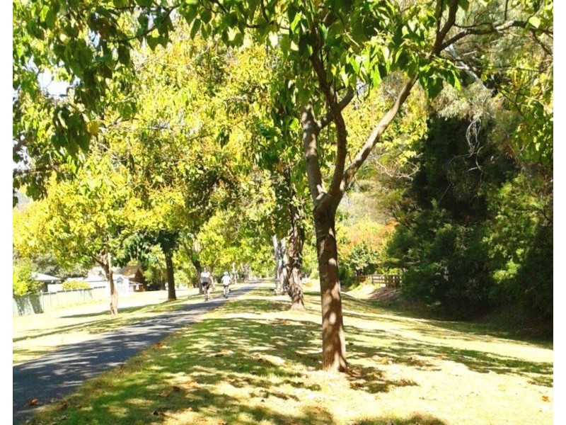 4 Gavan Street, Bright VIC 3741