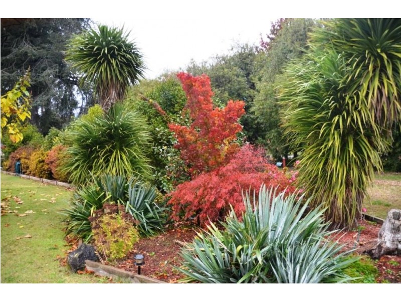 17 Railway Avenue, Bright VIC 3741