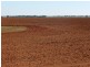 Farm 1863 McCracken Road, Leeton NSW 2705