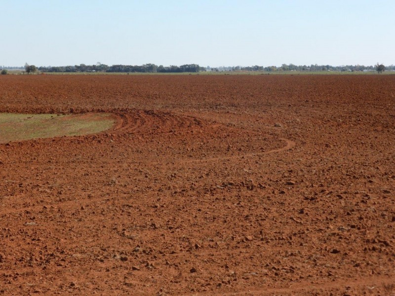 Farm 1863 McCracken Road, Leeton NSW 2705