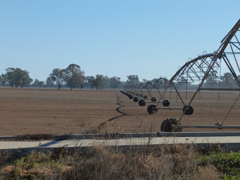 113 Coach Road, Mulwala NSW 2647