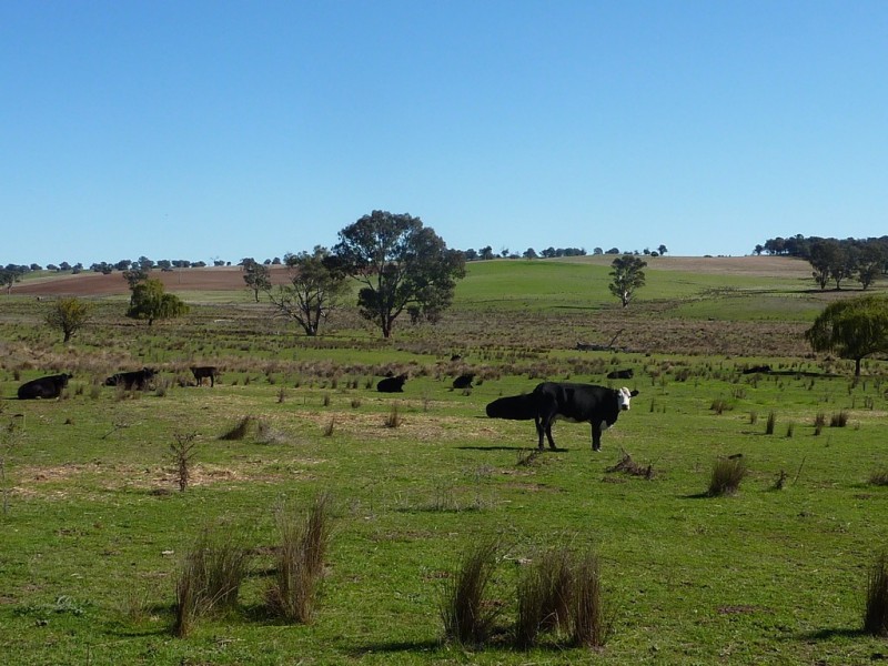 300 McClures lane Keajura, Wagga Wagga NSW 2650