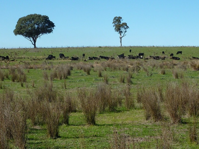 300 McClures lane Keajura, Wagga Wagga NSW 2650