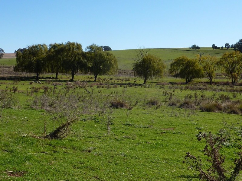 300 McClures lane Keajura, Wagga Wagga NSW 2650