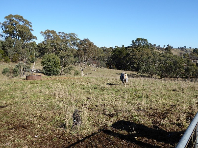 Lot 415 Holm Street, Tumbarumba NSW 2653