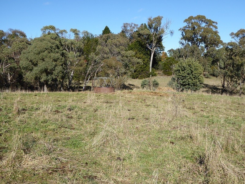 Lot 415 Holm Street, Tumbarumba NSW 2653