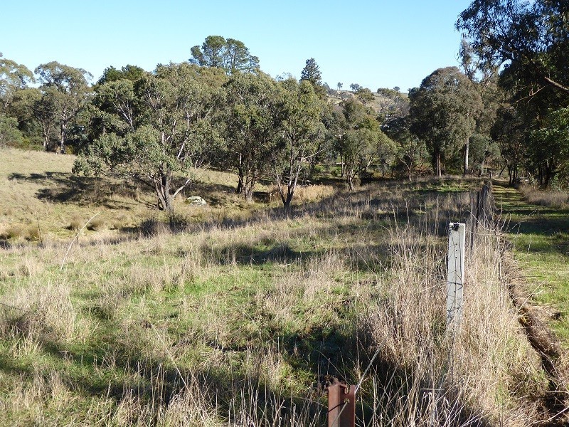Lot 415 Holm Street, Tumbarumba NSW 2653