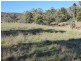 Lot 415 Holm Street, Tumbarumba NSW 2653