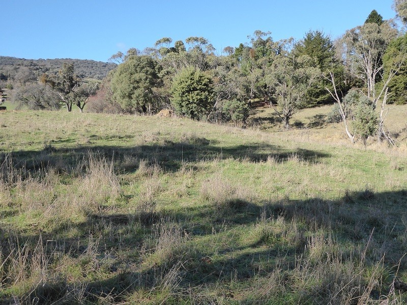 Lot 415 Holm Street, Tumbarumba NSW 2653