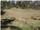 Lot 415 Holm Street, Tumbarumba NSW 2653