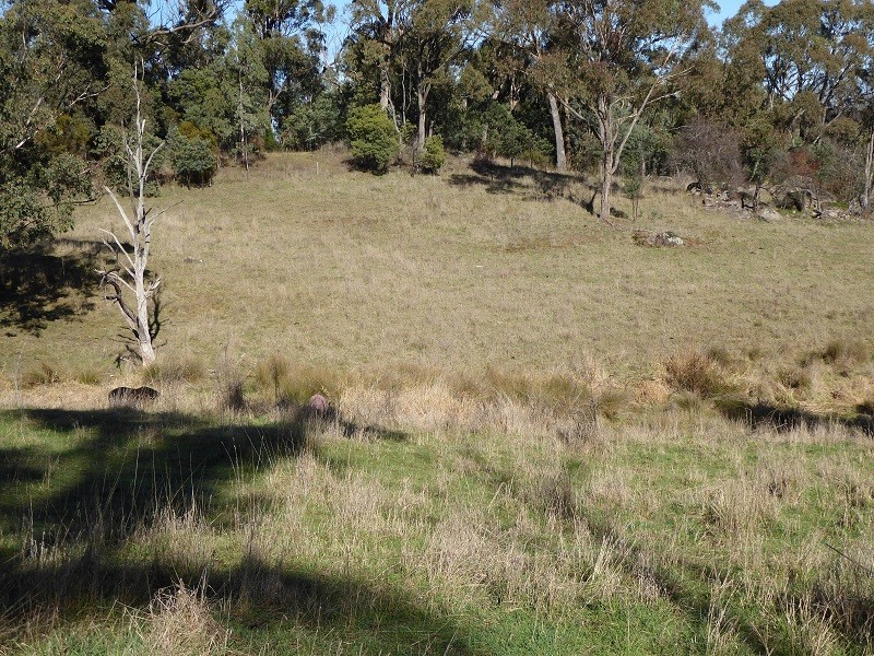 Lot 415 Holm Street, Tumbarumba NSW 2653