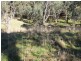 Lot 415 Holm Street, Tumbarumba NSW 2653